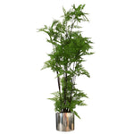 150cm Artificial Natural Moss Base Fern Foliage Plant With Silver Metal Plater