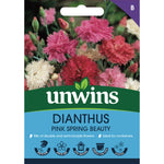Dianthus Pink Spring Beauty | 150 Seeds | Red & White