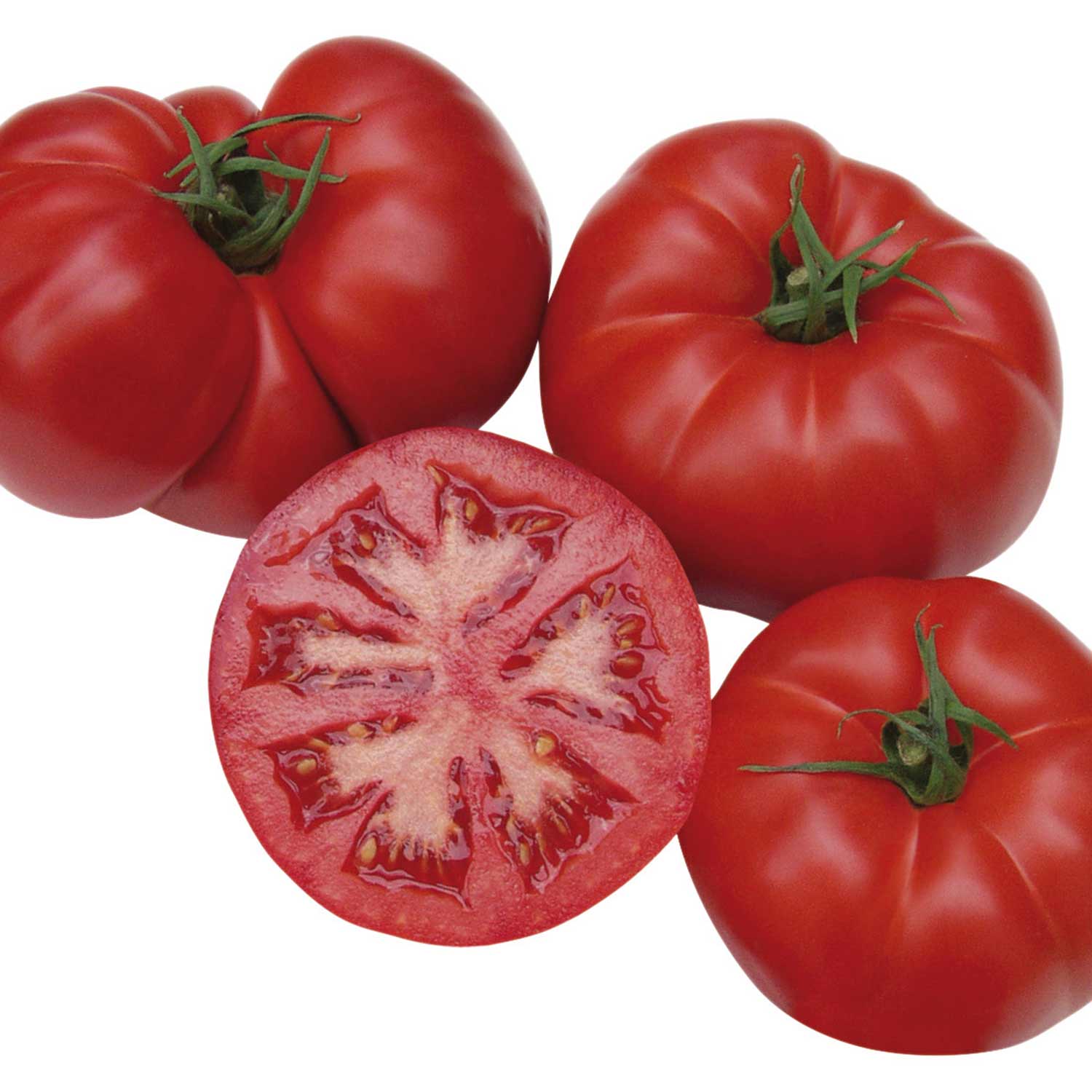 Organic Cordon Tomato Seeds 'country Taste' F1 Beefsteak Early | 8 Seeds