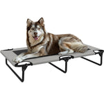 Pawhut Raised Dog Bed With Breathable Mesh For Large Dogs, Light Grey