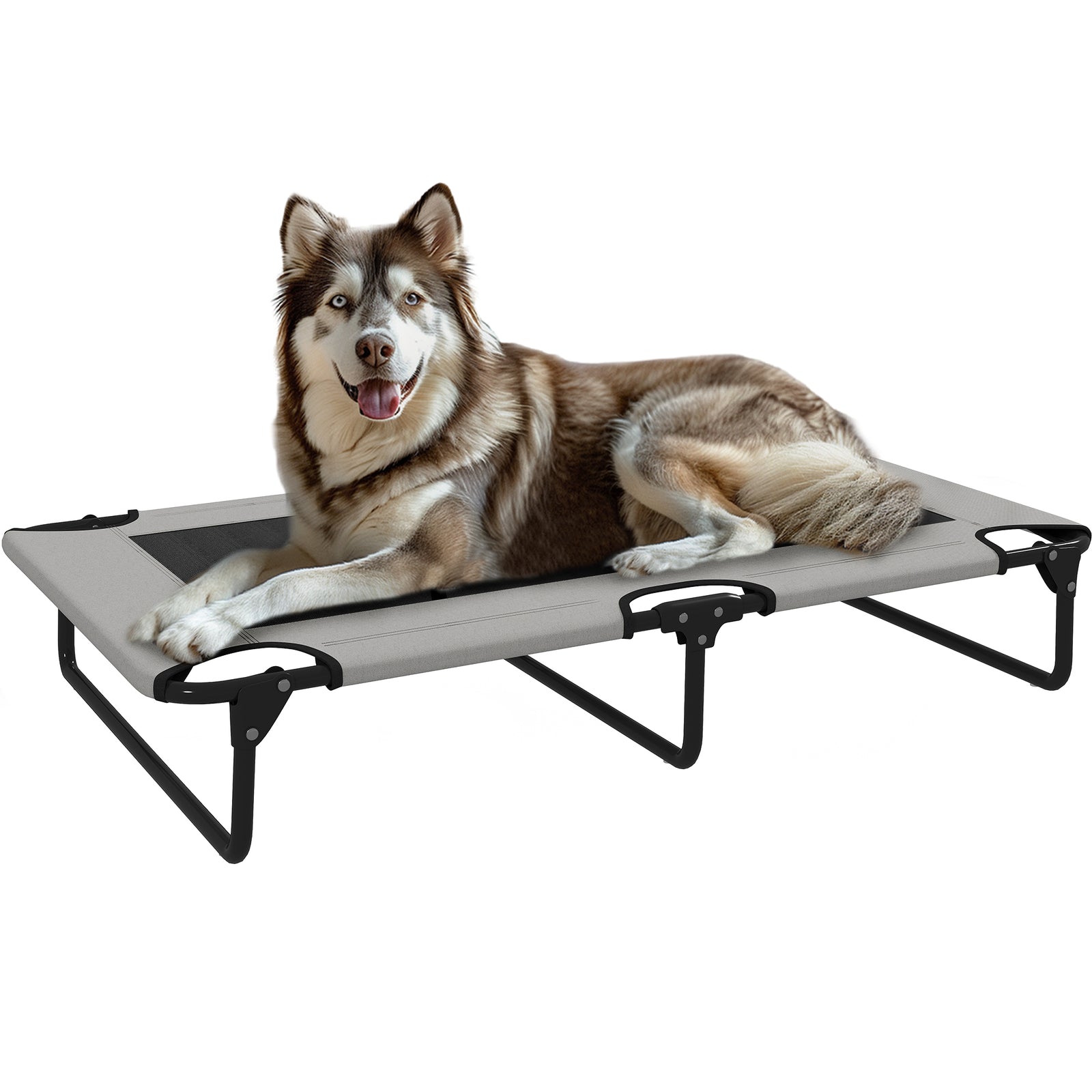 Pawhut Raised Dog Bed With Breathable Mesh For Large Dogs, Light Grey