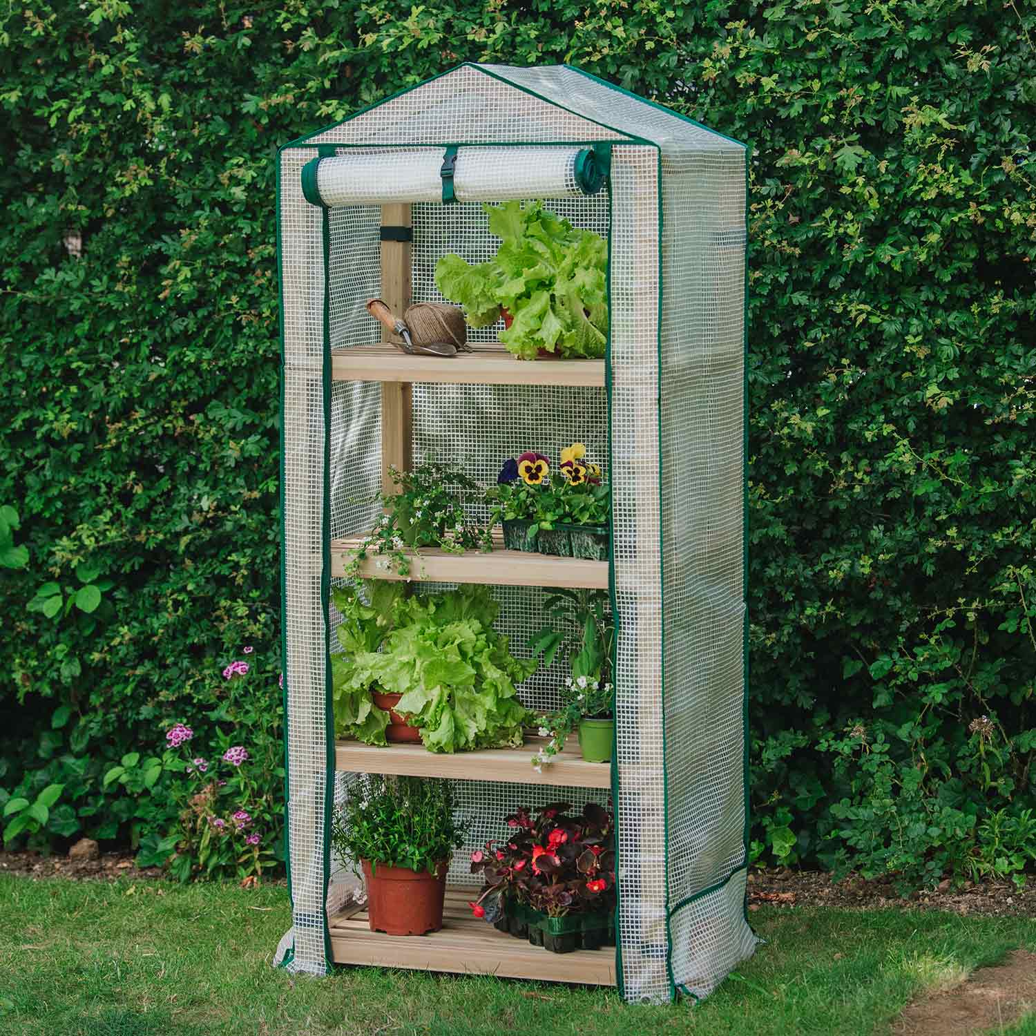 Premium 4-tier Wooden Growhouse 160cm | Green