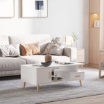 Minimalist Storage Coffee Table