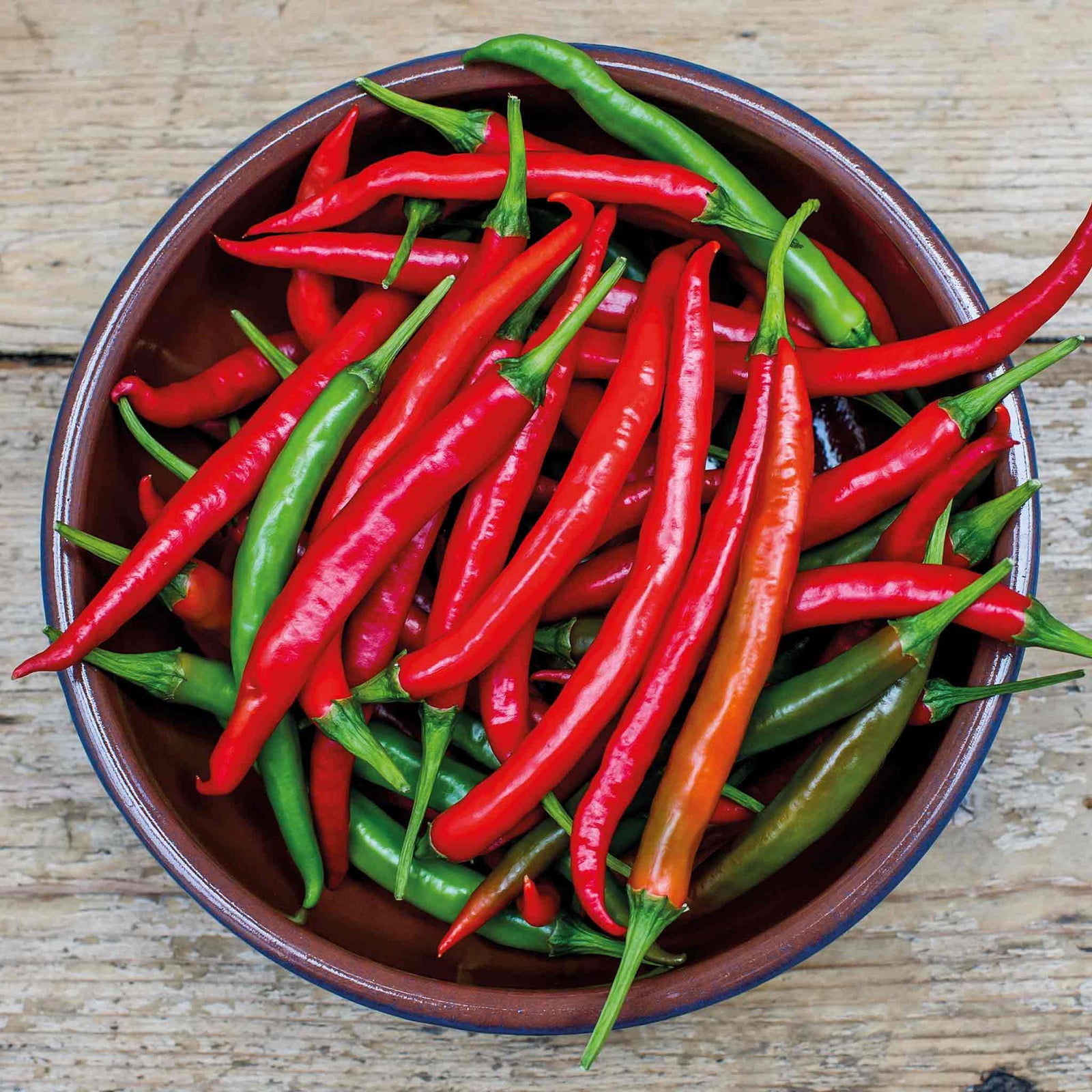 Chilli Grisu - Early Hot Restaurant-quality | 6 x 9cm | Red
