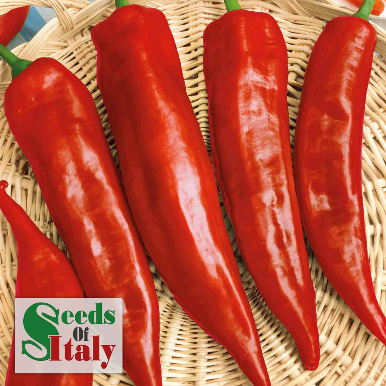 Corno Russo (bulls Horn) Sweet Pepper Plant | 9 x 9cm