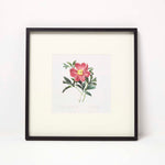 HOMESCAPES Wall Decoration Set Of 3 Frames With Picture, Peonies