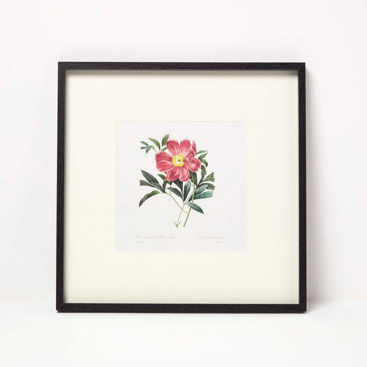 HOMESCAPES Wall Decoration Set Of 3 Frames With Picture, Peonies