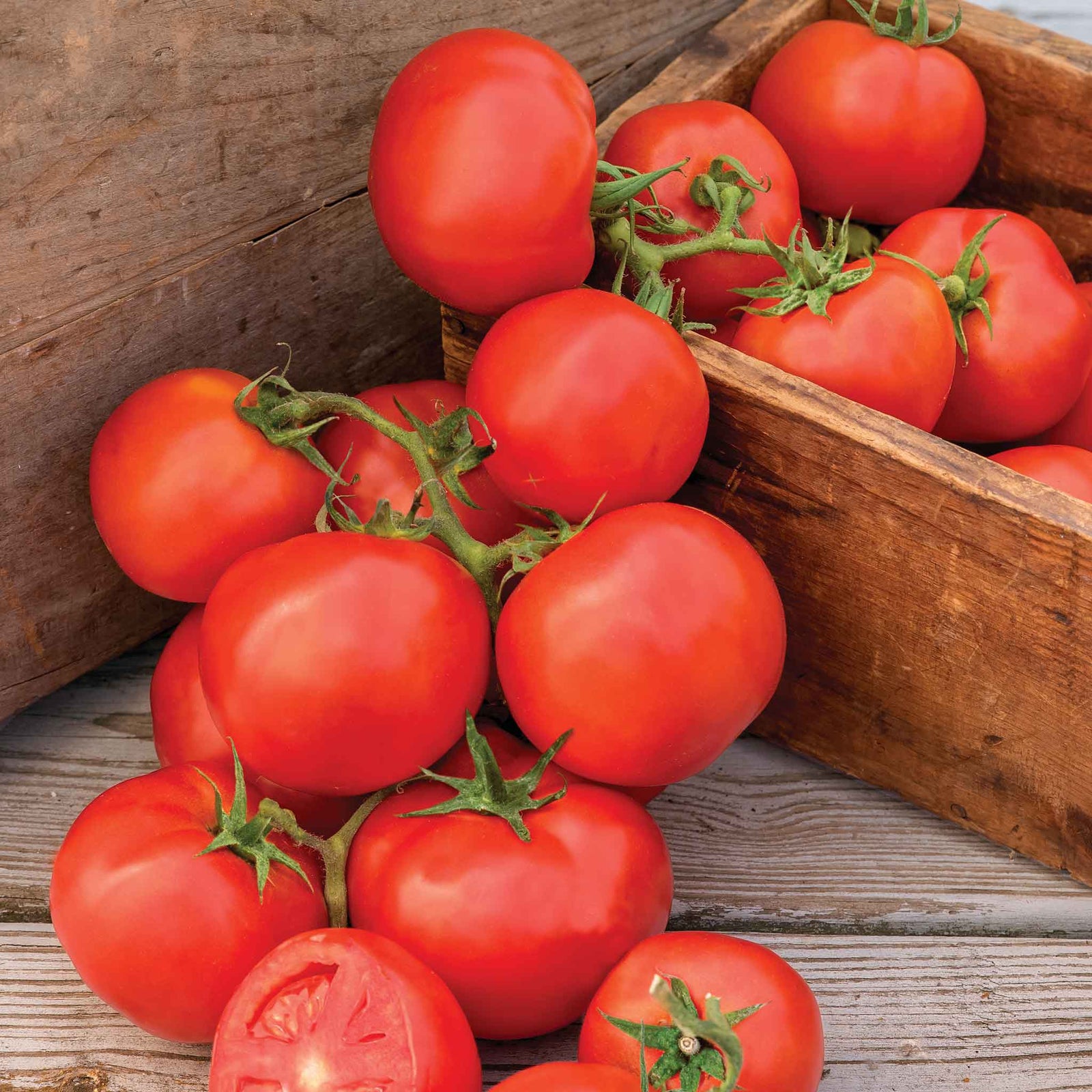 Tomato 'oh Happy Day' — Classic Beefsteak Seeds | 10 Seeds