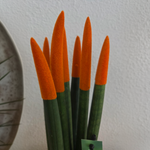 Snake Plant Velvet Touch - Sansevieria Cylindrica - Height 20-40cm - ⌀9cm | Orange