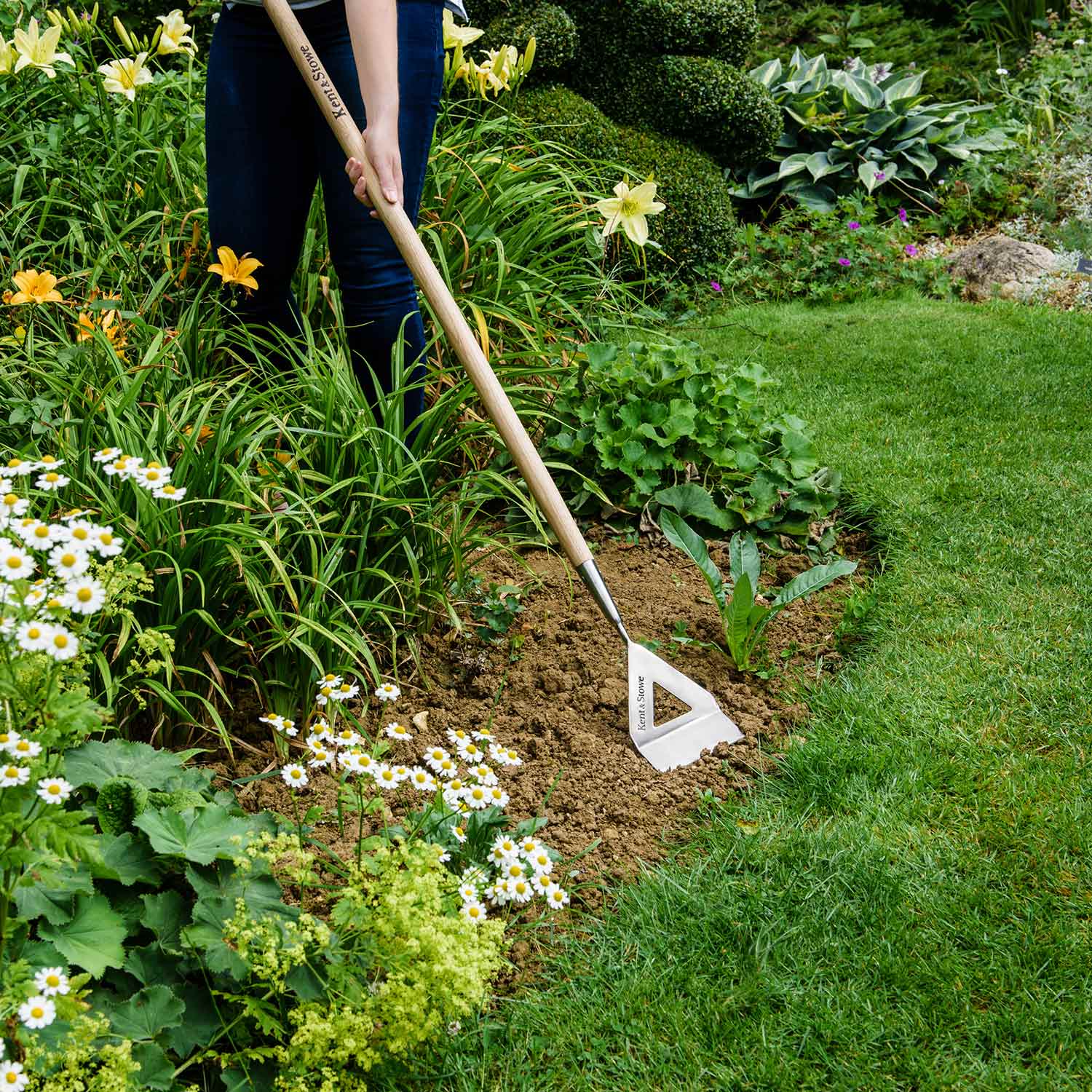 Stainless Steel Dutch Hoe With Ash Handle