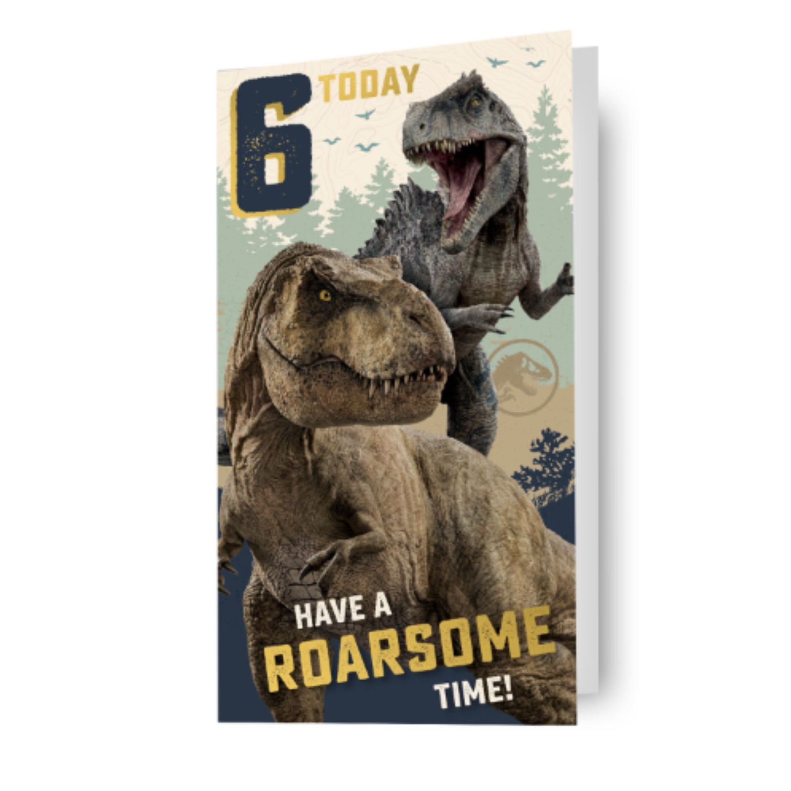 Age 6 Birthday Card Official Product