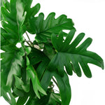 50cm Artificial Trailing Philodendron Large  Plant