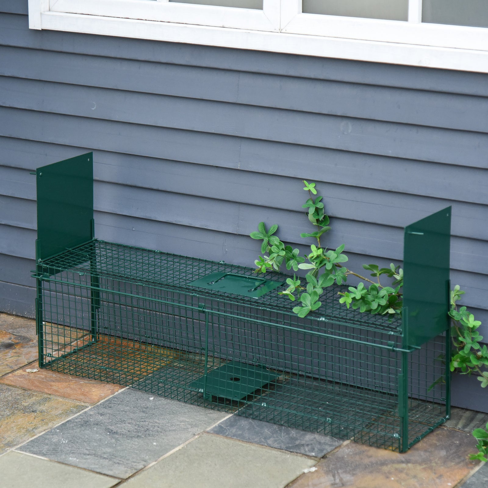 Two-door Animal Trap Cage For Small Animals, Dark Green