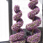 90cm Purple Large  Spiral With Decorative Planter