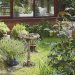 Bird Bath For Garden, Birdbath W/ Lotus Leaf Basin