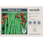 Runner Bean Duo 'firestorm' & 'white Lady' | 90 Seeds | Multi Colour