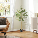 Indoor Artificial Plant, Faux Potted Silk Olive Tree | Large | Green