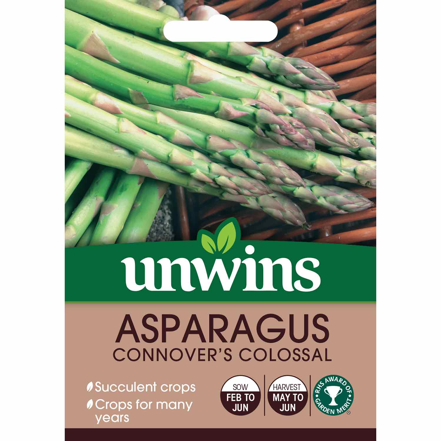 Asparagus 'connover's Colossal' Seeds | 120 Seeds | Purple & Green