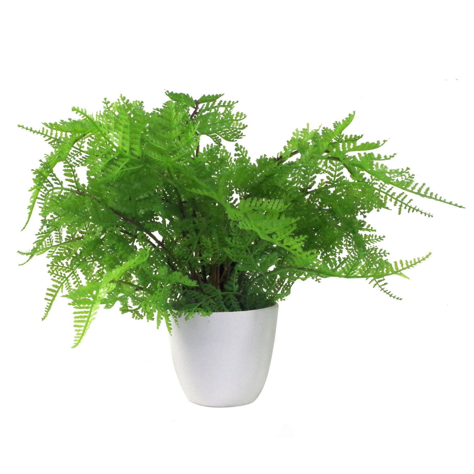 Artificial Pack Of 3 X 30cm Ferns Southern Wood Lady And Royal Potted