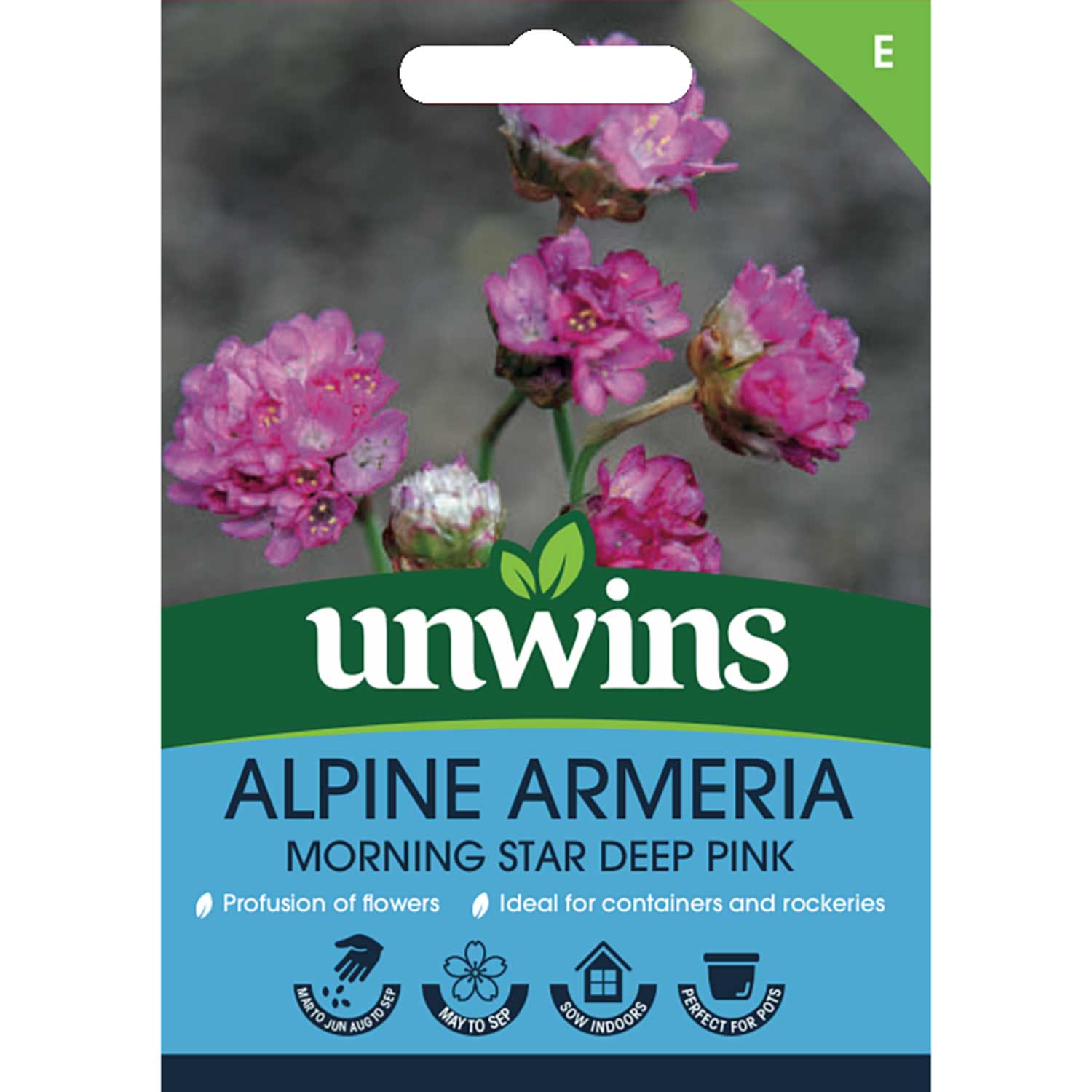 Alpine Armeria 'morning Star Deep Pink' Seeds | 20 Seeds | Pink