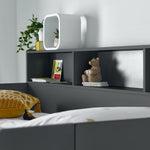 Olly Storage Bunk Bed Without Drawer With Spring Mattresses | Single | Anthracite