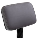 Adjustable Swivel Salon Chair Padded Seat Back 5 Wheels | One Size | Gray