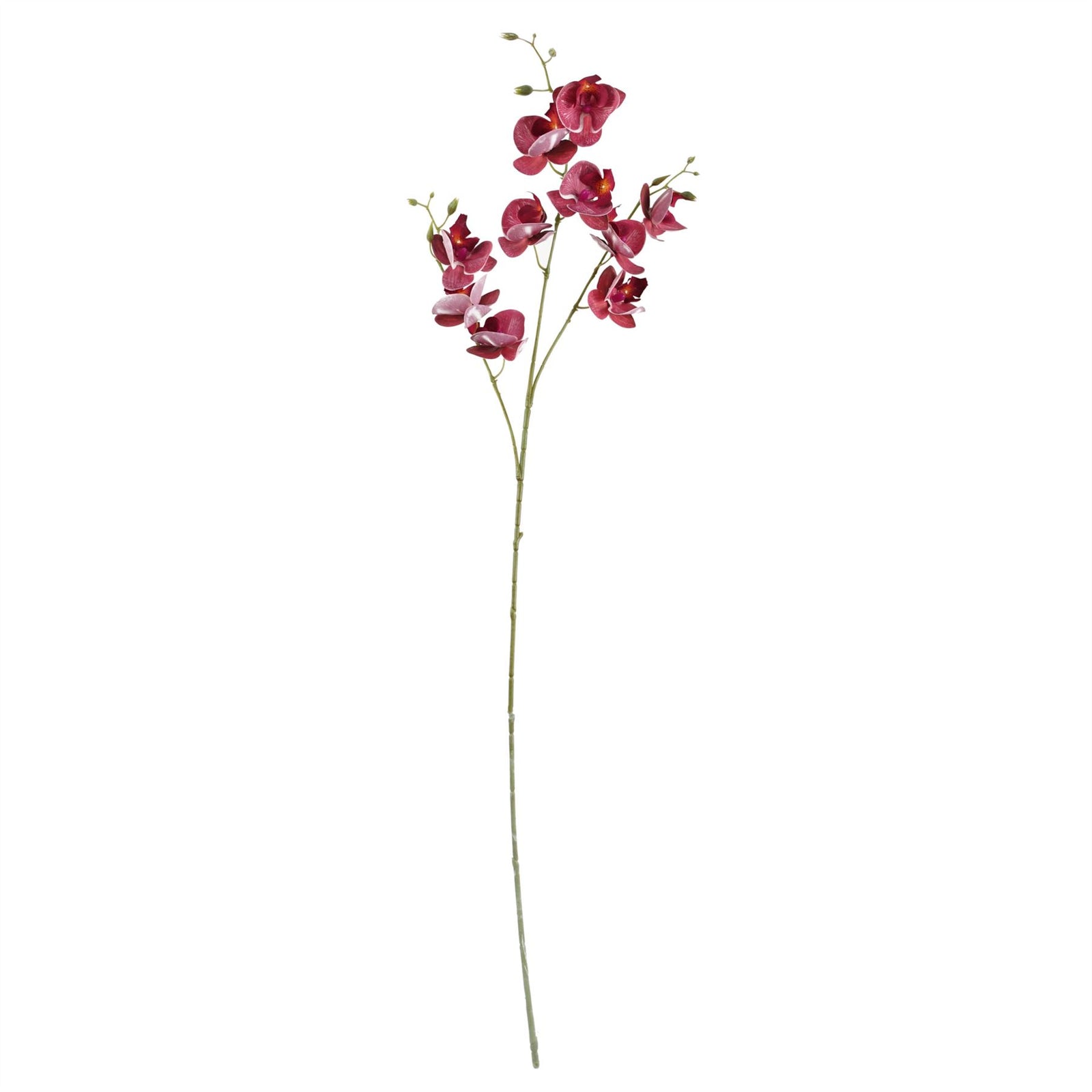 65cm Artificial Mixed Wild Orchid And Ferns Glass Vase