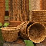 Pots 5cm 20 Pack