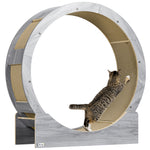 Cat Wheel With Brake, Scratching Pads - Grey | Gray