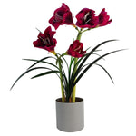 60cm Artificial Amarylis Pink