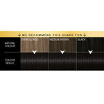 Oleo Intense 1-10 Intense Black No Ammonia Permanent Oil Colour 3pk