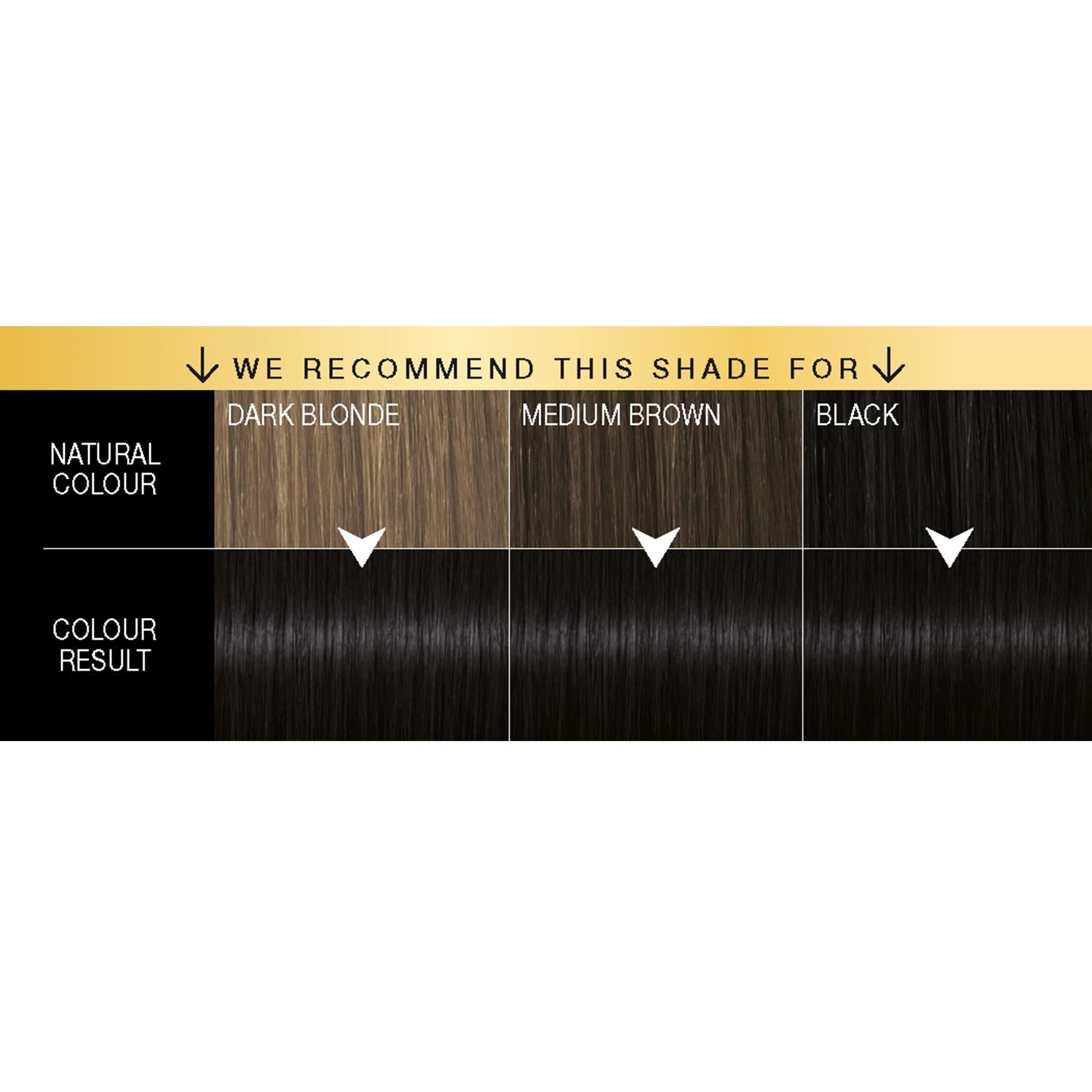 Oleo Intense 1-10 Intense Black No Ammonia Permanent Oil Colour 3pk