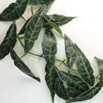 110cm Artificial Trailing Hanging Dark Natural Look  Plant Realistic