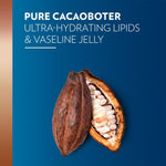 Vaseline Intensive Care Cocoa Radiant Body Lotion, 600ml For Dry Skin
