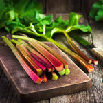 Rhubarb Collection: Victoria, Timperley Early And Raspberry Red | 3 x Crowns | Red