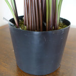 60cm Variegated Artificial Calathea Plant