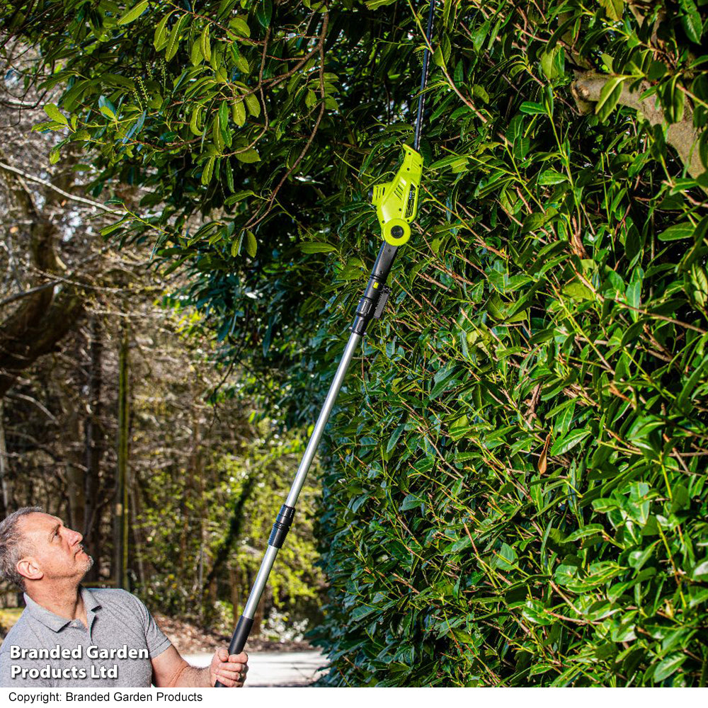 12v Telescopic Hedge Trimmer & Two Batteries