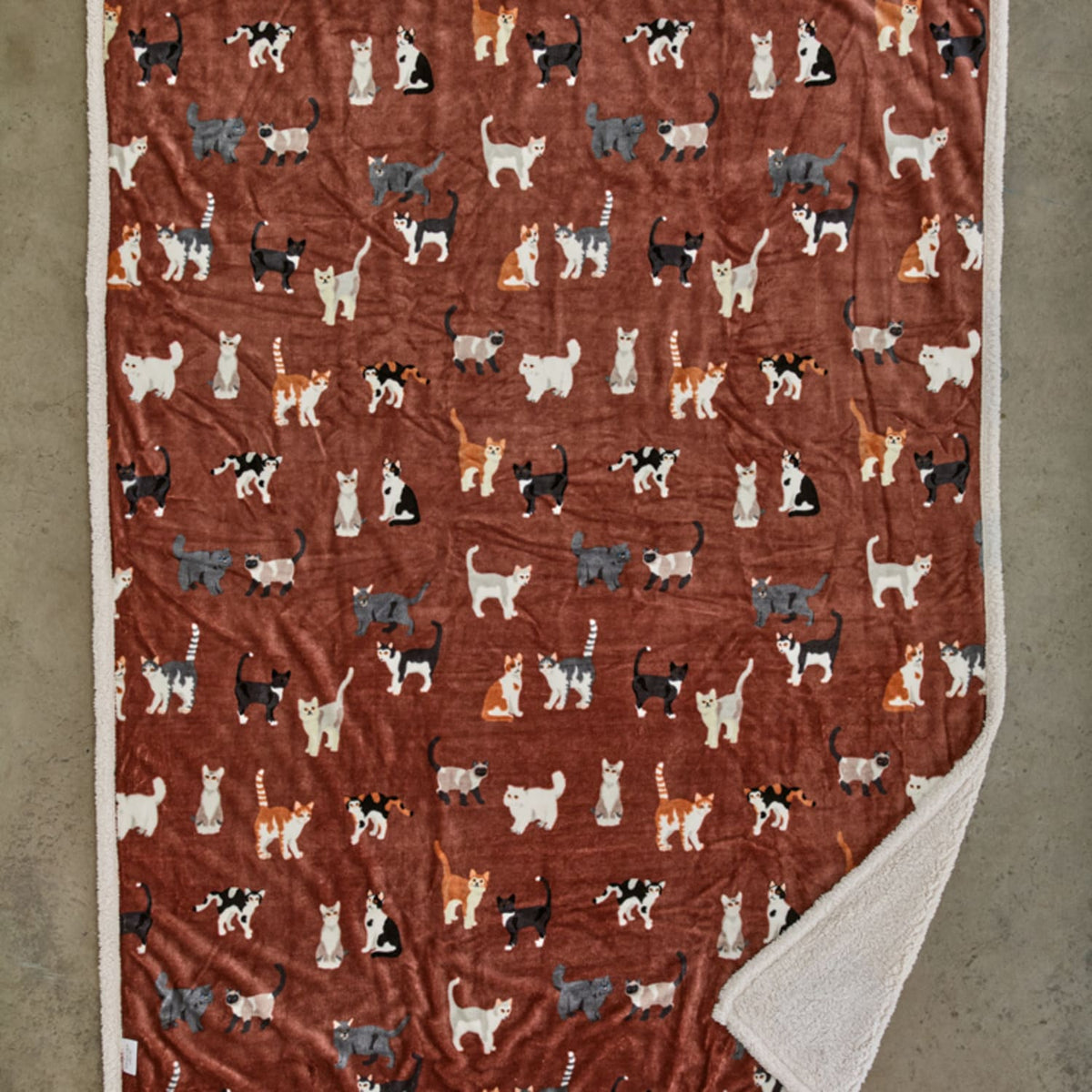 Mixed Kitty Sherpa Fleece Throw – Printed Cat Blanket | 140cm x 180cm | Brown