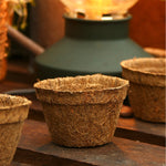Pots 5cm 20 Pack