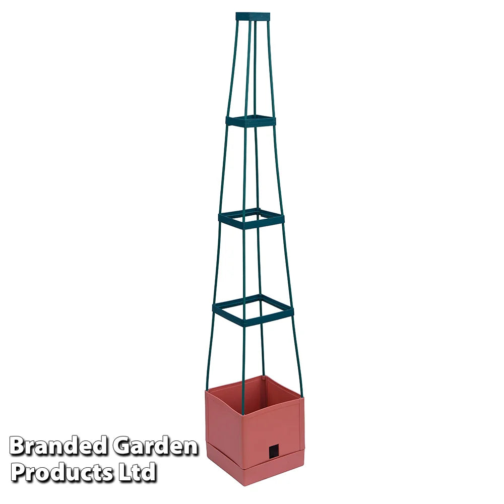 Self-watering Tomato Tower | Set of 1