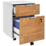 2 Drawer Filing Cabinet With Adjustable Hanging Bars