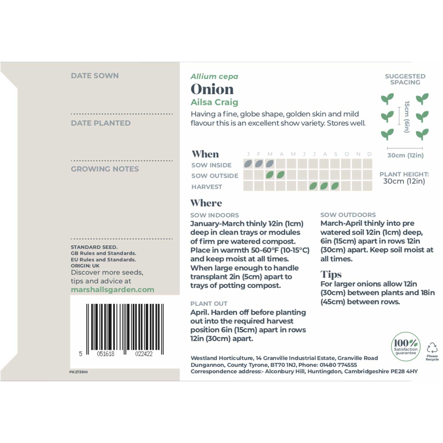 Ailsa Craig Onion Seeds | 500 Seeds