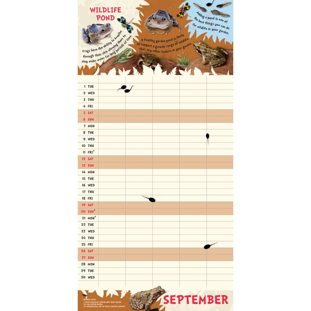 2026 Family Organiser Calendar (with Pocket And Stickers) Official Product