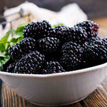 Blackberry Plant 'chester Thornless' 2l | 1 x 2L | Multi