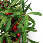 60cm (24 inches) Large Luxury Christmas Mistletoe  and Red Berry Floristry Wreath