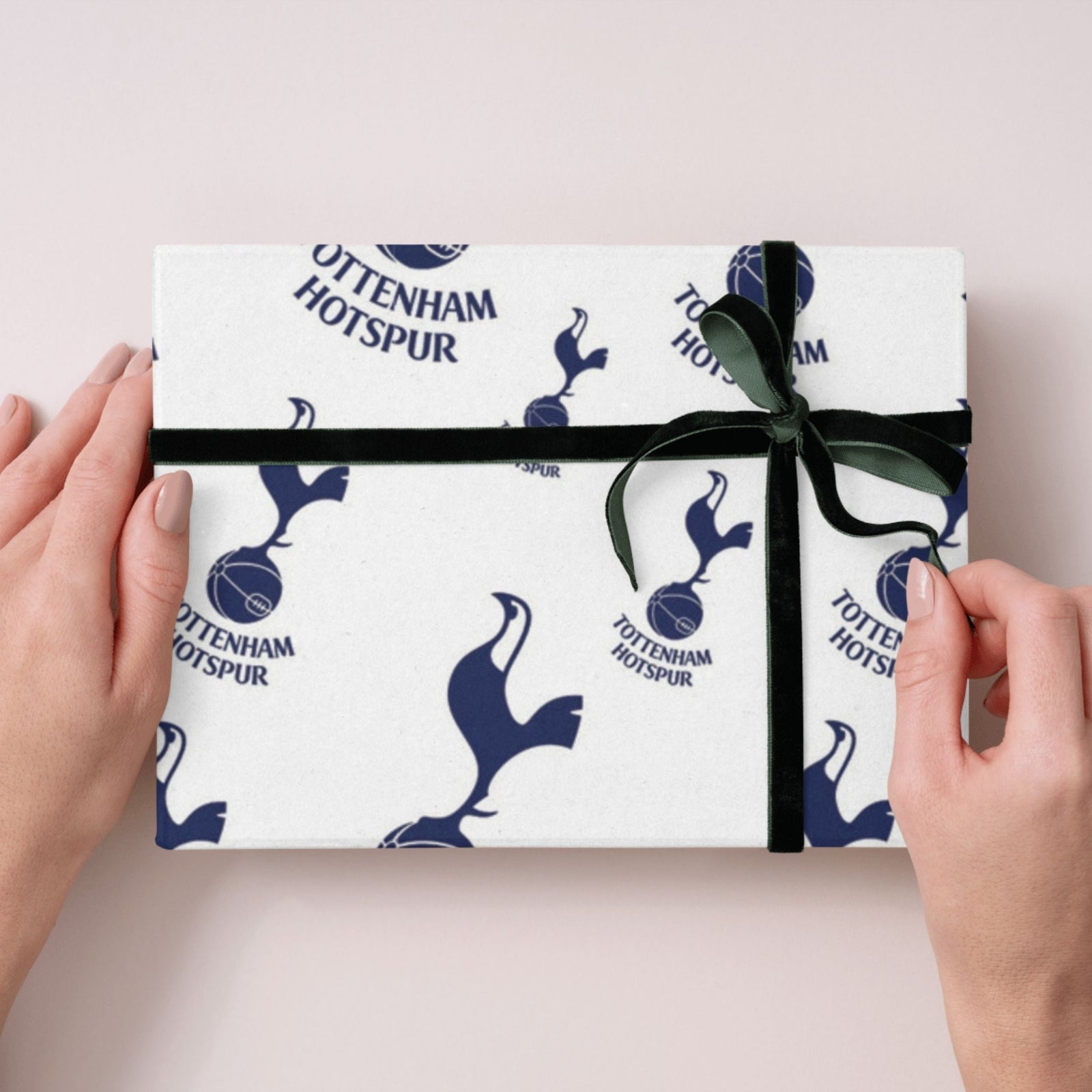 2 Sheets & 2 Tags Gift Wrap