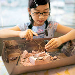 Kidzlabs - Dig A Pteranodon Skeleton
