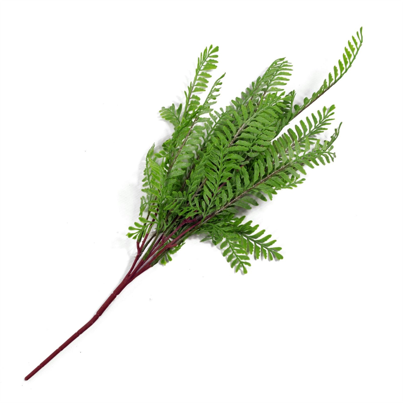 6 X 55cm Himilayan Maidenhair Fern Bush Light Green Plant