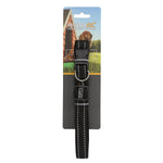 Premium Dog Collar | Large | Black