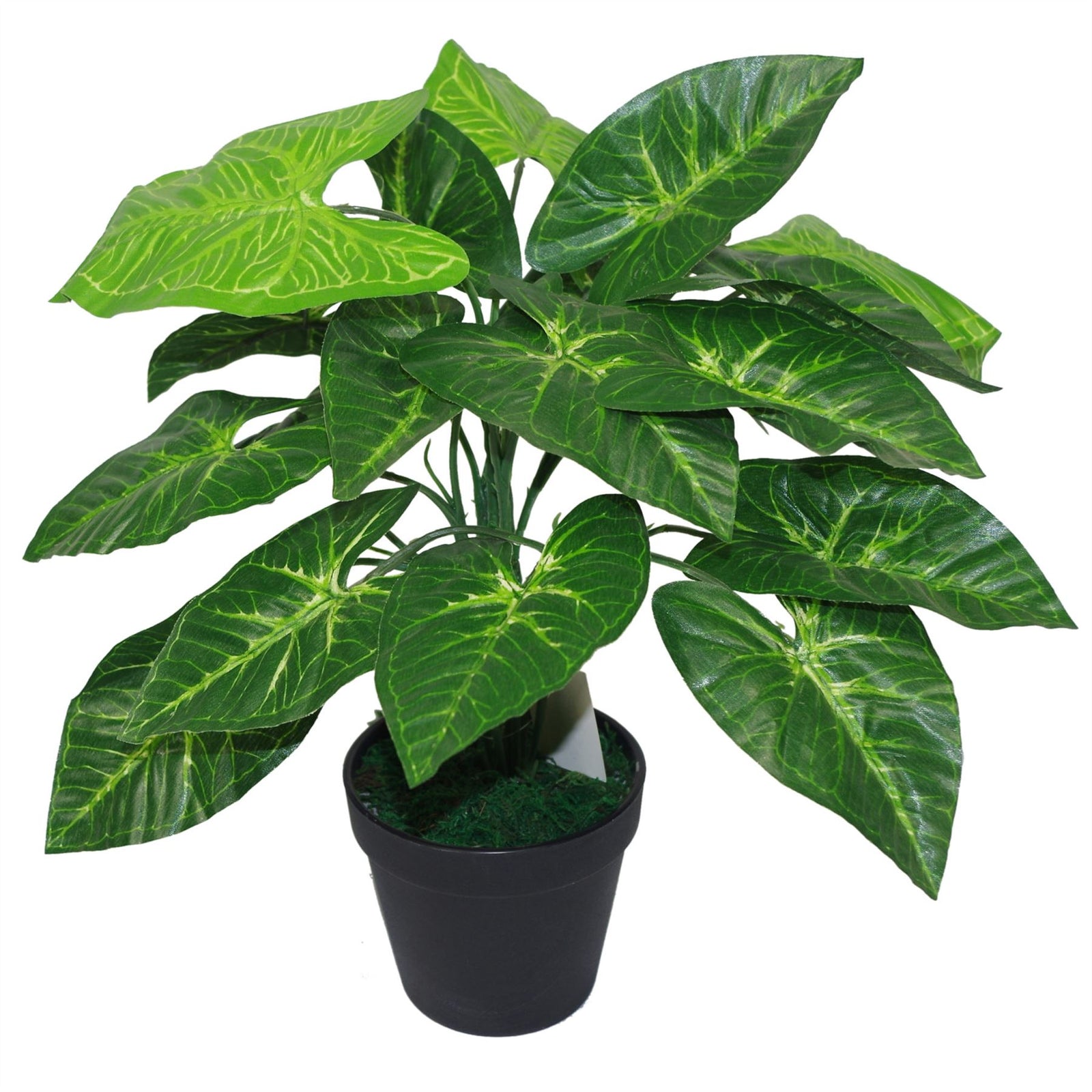 45cm Artificial Taro Plant 45cm Dark Taro